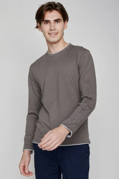 Greenbomb Langarmshirt für Herren aus Bio-Baumwolle in Grau Frontansicht