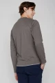 Greenbomb Langarmshirt für Herren aus Bio-Baumwolle in Grau Rückansicht