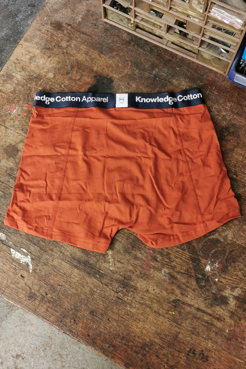 Unterwäsche von KnowledgeCotten Apparel 2er Pack in Farbe terra -orange