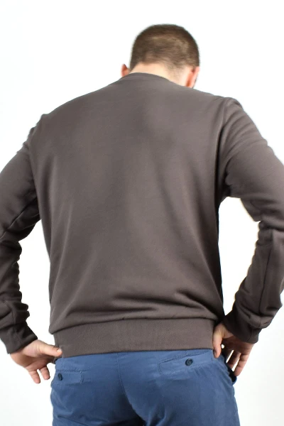 Sweatshirt für Herren aus Biobaumwolle in Braun Ansicht Front