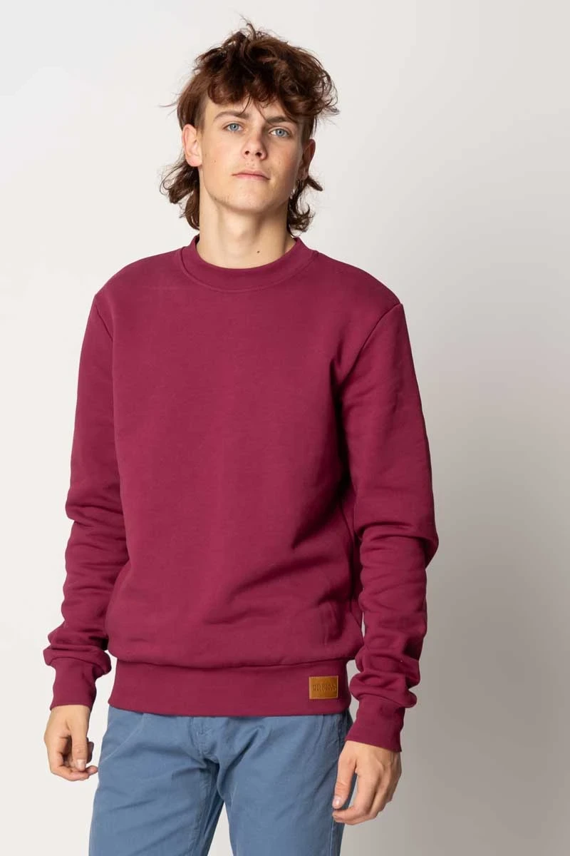 Sweatshirt aus Biobaumwolle für Herren in Beere