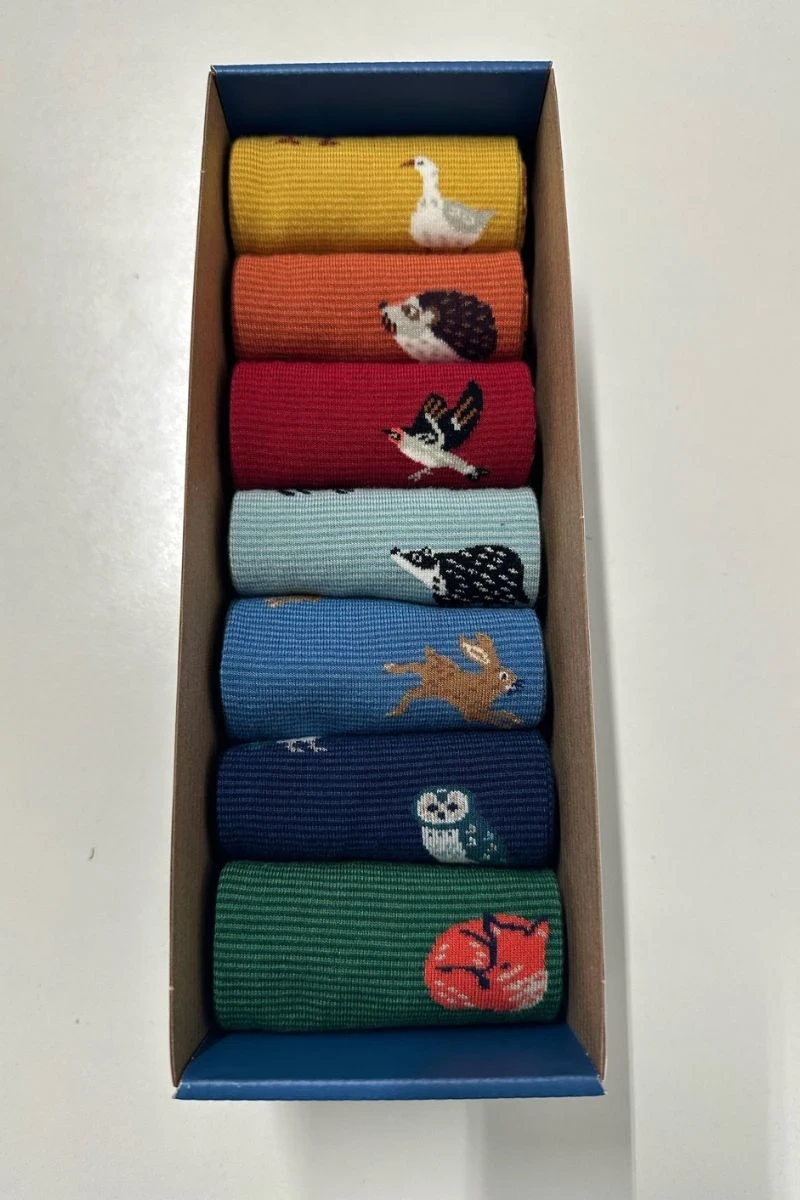 Seasalt Cornwall Socken bunt mit Tieren 7 Stück in Geschenkbox Ansicht Inhalt