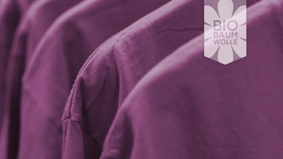 Bildausschnitt von fünf lila Pullover in einer Reihe hängend